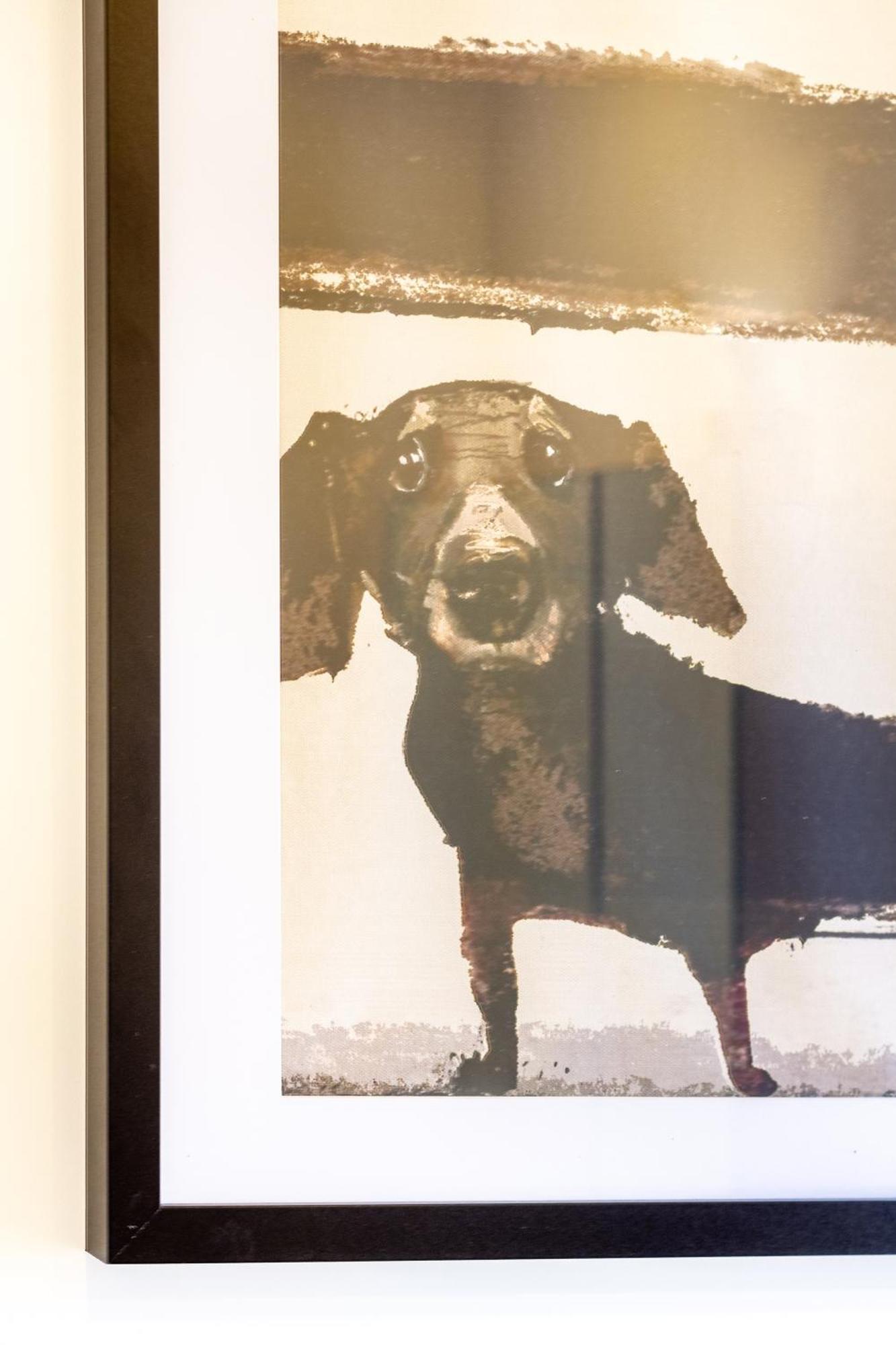 Central City Charm: Pet-Friendly Studio ไครสต์เชิร์ช ภายนอก รูปภาพ
